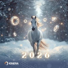 Laimingų ir produktyvių Naujųjų metų!